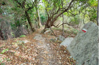 Trail von Rapallo nach Chiavari über Montallegro