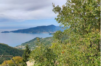 Trail von Rapallo nach Chiavari über Montallegro