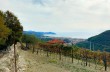 Trail von Rapallo nach Chiavari über Montallegro