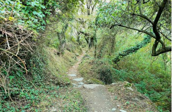 Trail von Rapallo nach Chiavari über Montallegro