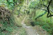 Trail von Rapallo nach Chiavari über Montallegro