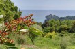 Der Tierweg im Naturpark Portofino