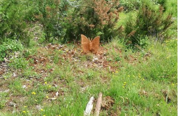 Der Tierweg im Naturpark Portofino