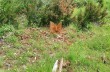 Der Tierweg im Naturpark Portofino