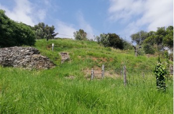 Der Tierweg im Naturpark Portofino