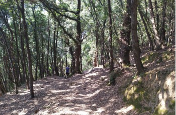 Sentier circulaire de Portofino Vetta à San Fruttuoso, via la base 0