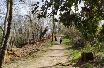 Sentier circulaire de Portofino Vetta à San Fruttuoso, via la base 0