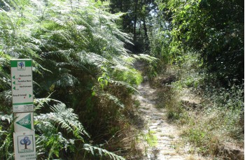 Sentier circulaire de Portofino Vetta à San Fruttuoso, via la base 0