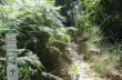 Circular trail from Portofino Vetta to San Fruttuoso, via Base 0