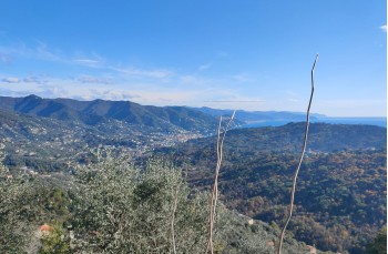 Rundweg Recco - Monte Ampola - Caravaggio - Esoli