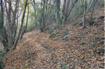 Rundweg Recco - Monte Ampola - Caravaggio - Esoli