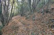 Rundweg Recco - Monte Ampola - Caravaggio - Esoli
