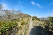 Fußweg von Recco nach Sori auf den Hügeln des Golfo Paradiso