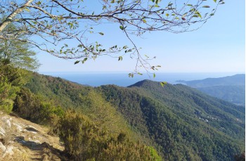 Von Montallegro nach Santa Maria del Campo in Rapallo über Monte Pegge und Manico del Lume