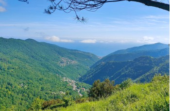 Rundweg von Uscio nach Pannesi und Calcinara und NS del Bosco