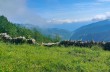 Rundweg von Uscio nach Pannesi und Calcinara und NS del Bosco