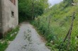 Rundweg von Uscio nach Pannesi und Calcinara und NS del Bosco