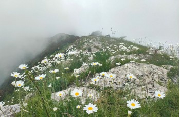 Rundweg mit Start in Teriasca in der Gemeinde Sori