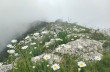 Rundweg mit Start in Teriasca in der Gemeinde Sori