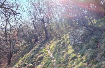 Rundweg mit Start in Teriasca in der Gemeinde Sori