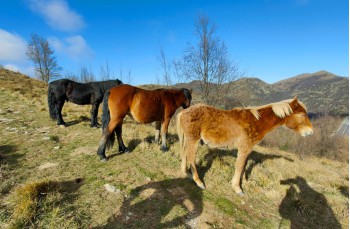 Rundweg mit Start in Teriasca in der Gemeinde Sori