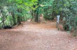 Trail von Uscio nach Portofino mare