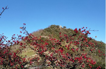 Trail von Uscio nach Portofino mare
