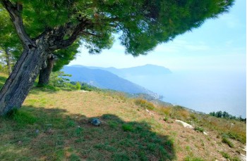 Trail von Bogliasco nach Sori über Santa Croce