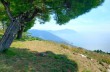 Trail von Bogliasco nach Sori über Santa Croce