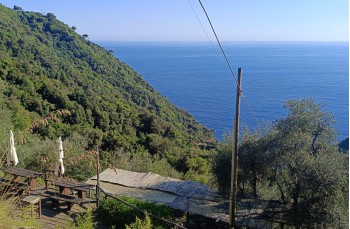 Naturpark Portofino: von San Fruttuoso di Camogli nach Pietre Strette