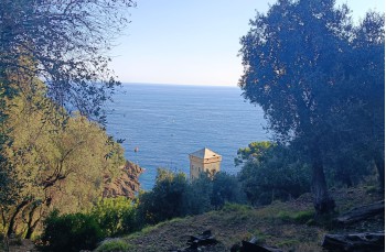 Naturpark Portofino: von San Fruttuoso di Camogli nach Pietre Strette