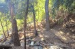 Naturpark Portofino: von San Fruttuoso di Camogli nach Pietre Strette