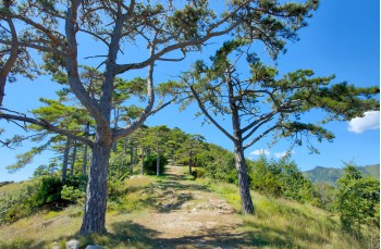Rundweg von Pieve Ligure nach Santa Croce