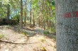 Trail ad anello da Pieve Ligure per Santa Croce.