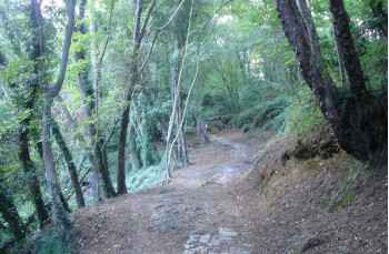 Naturpark Portofino: von San Fruttuoso di Camogli nach Pietre Strette