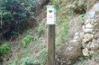 Naturpark Portofino: von San Fruttuoso di Camogli nach Pietre Strette