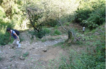 Naturpark Portofino: von San Fruttuoso di Camogli nach Pietre Strette