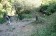 Naturpark Portofino: von San Fruttuoso di Camogli nach Pietre Strette