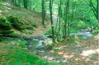 Rundweg von Priosa nach Ventarola und zurück über Parazzuolo