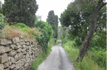 Zu Fuß von Rapallo nach San Lorenzo della Costa