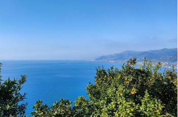 Rundweg von San Rocco di Camogli zum Semaforo Nuovo und Gaixella
