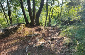 Montepegli - Manico del Lume