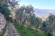 Rundweg von San Rocco di Camogli zum Semaforo Nuovo und Gaixella