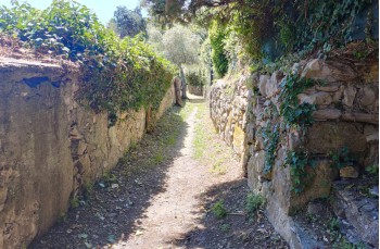 Zu Fuß von Rapallo nach San Lorenzo della Costa