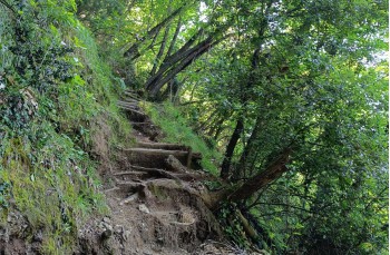 Weg von Santa Margherita Ligure nach Portofino Vetta