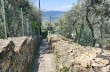 Wanderung zu Fuß von Ruta di Camogli nach Camogli