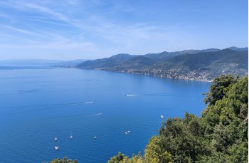 Wanderung zu Fuß von Ruta di Camogli nach Camogli