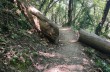 Wanderung zu Fuß von Ruta di Camogli nach Camogli