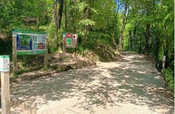 Wanderung zu Fuß von Ruta di Camogli nach Camogli
