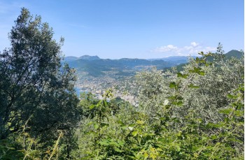 Wanderung zu Fuß von Ruta di Camogli nach Camogli